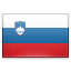 shiny Slovenia icon